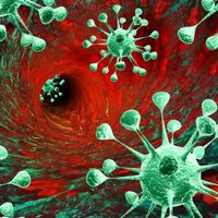Krebs: Lymphgefäße unterstützen die Therapie