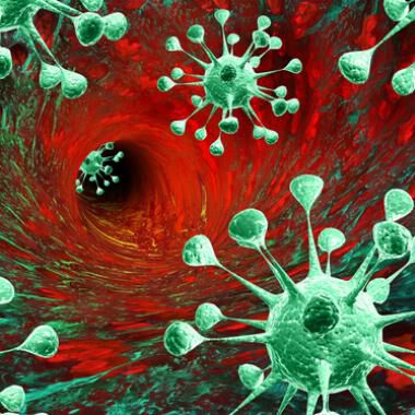 Krebs: Lymphgefäße unterstützen die Therapie
