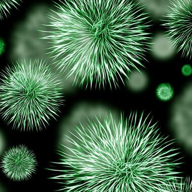 Bakterien unterstützen einander gegen Antibiotika