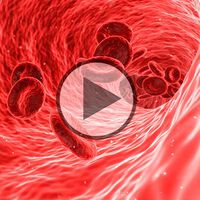 Blutkreislauf & Mikrozirkulation - Video