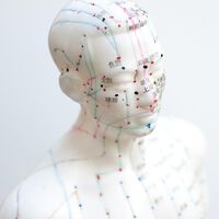 CredoWeb beim 14.Internationalen TCM Kongress in Graz 28.-30.September 2017