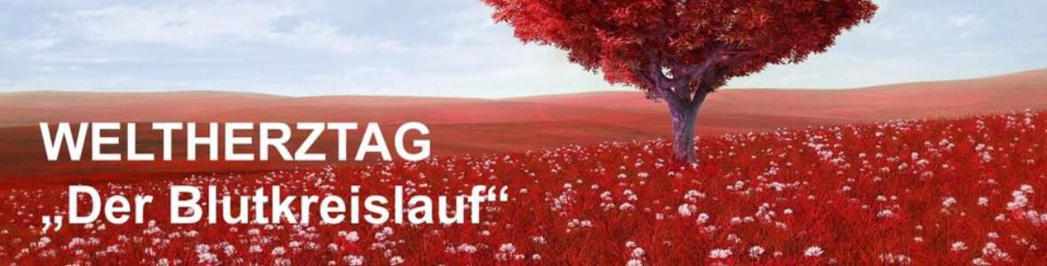 Start der Europäischen Gesundheitsinitiative unter dem Motto Blutkreislauf