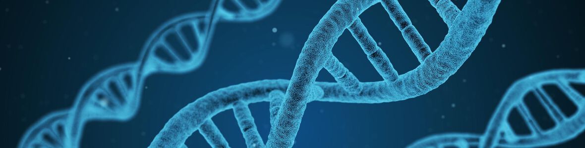 DAS BRUSTKREBSGEN – IST BRUSTKREBS VERERBBAR? FRÜHERKENNUNG, DIAGNOSE UND BEHANDLUNGSOPTIONEN