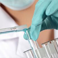 Bioengineering: Dünndarm aus Stammzellen hergestellt