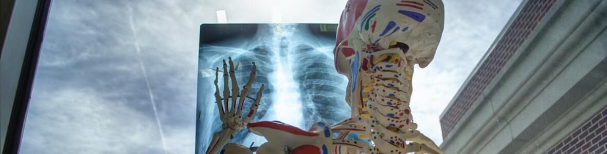 Digitale Bilderreise durch unseren Körper - ein Fenster in unser Inneres