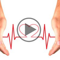 Weltmännertag mit BEMER im Rahmen der Europäischen Gesundheitsinitiative - Video
