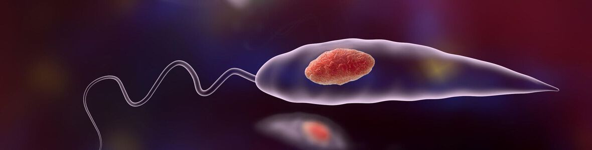 Studie: Parasiten haben sehr flexibles Erbgut