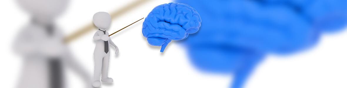 Der Unterschied zwischen Alzheimer & Demenz - Video