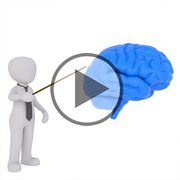 Der Unterschied zwischen Alzheimer & Demenz - Video