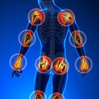 Neues aus der Rheumatologie