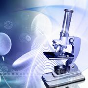 Wissenschaftler entdecken Creutzfeldt-Jakob-Proteine in der Haut