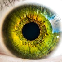 Künstliche Intelligenz nähert sich der Diabetologie