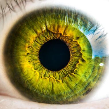Künstliche Intelligenz nähert sich der Diabetologie