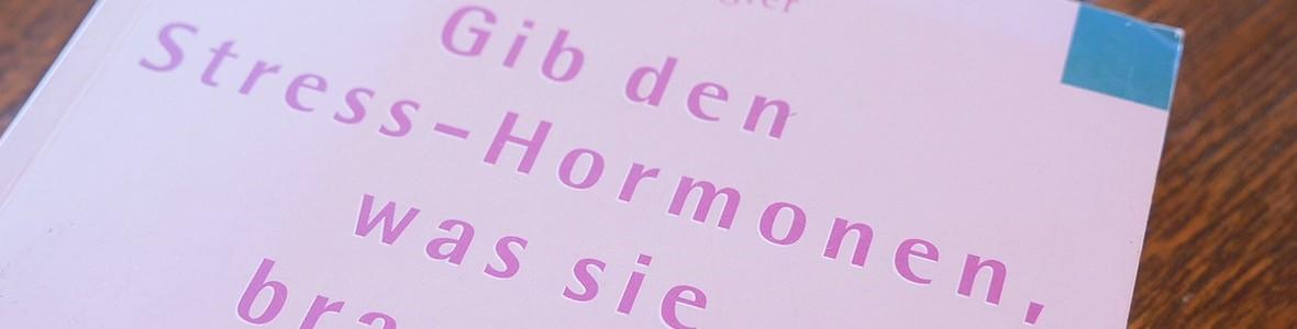 Erkenntnisse aus der Stressforschung - Video