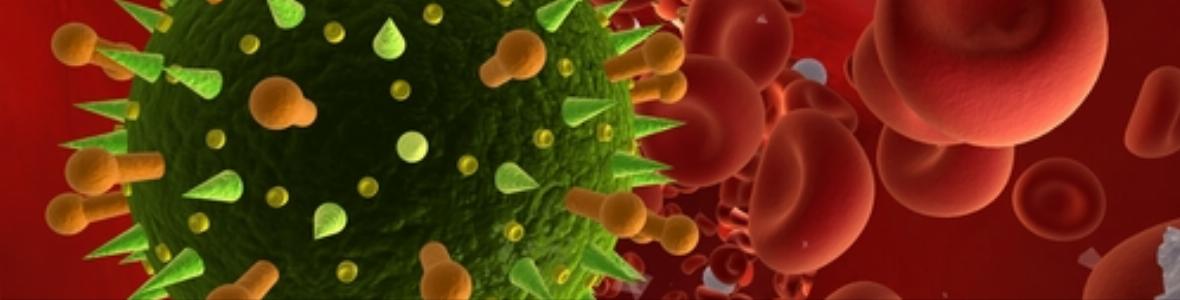 Wiener Immuntherapie kann Tumorwachstum bremsen