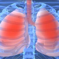 Zystische Fibrose: Forscher der Uni Zürich sind Heilung auf der Spur
