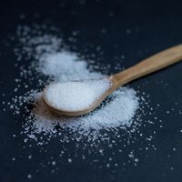 Zucker schützt Krebszellen vor dem Tod