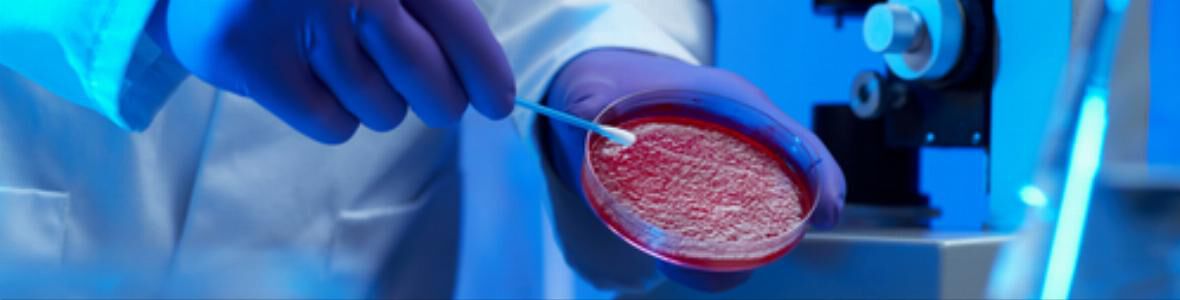 Grazer Forschern gelang Nachbau von Zellmembranen im Labor