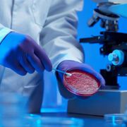 Grazer Forschern gelang Nachbau von Zellmembranen im Labor