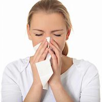 Jetzt schon Pollenallergie? Tipps gegen Winterpollen