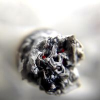 Schon eine Zigarette am Tag schadet der Gesundheit