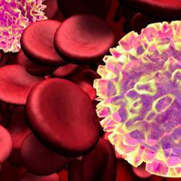 Neue Immuntherapie hat Chancen für langfristige Erfolge