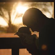 Alleinerziehende Väter haben höheres Sterberisiko