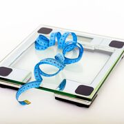 Low-Fat oder Low-Carb - welche Diät ist besser?