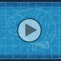 Neue Methode zur Darstellung von Hirnarealen - Video