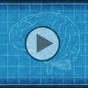 Neue Methode zur Darstellung von Hirnarealen - Video