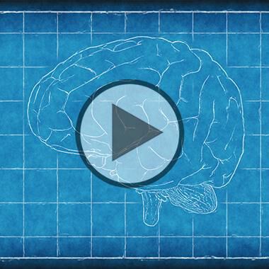 Neue Methode zur Darstellung von Hirnarealen - Video
