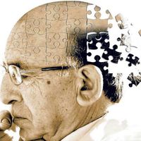 CURRY ZUR ALZHEIMERPRÄVENTION?