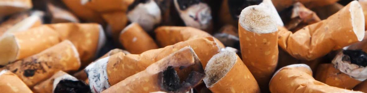 "Don't smoke" - über 480.000 Österreicher haben bereits unterzeichnet