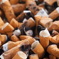 "Don't smoke" - über 480.000 Österreicher haben bereits unterzeichnet