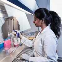Rheuma und Multiple Sklerose: auf der Suche nach neuen Behandlungsoptionen