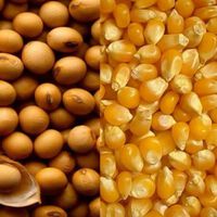 Ernährung könnte Therapie bei Brustkrebs beeinträchtigen