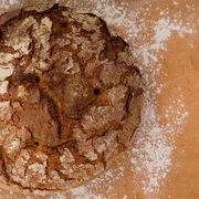 Spezielle Diäten und Ernährungsformen im Sport - Sinn oder Unsinn?
Teil I - Low-Carb-Diät