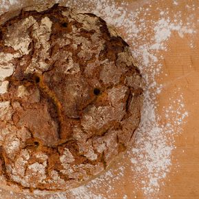 Spezielle Diäten und Ernährungsformen im Sport - Sinn oder Unsinn?
Teil I - Low-Carb-Diät