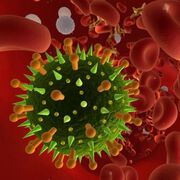 RNA hält Krebszellen für immer jung
