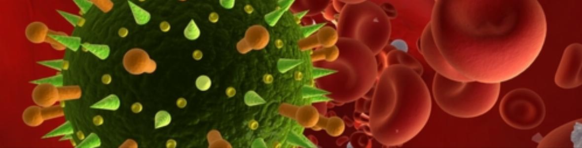 RNA hält Krebszellen für immer jung
