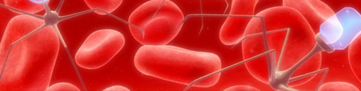 Tumorzellen gelangen über Lymphknoten ins Blutsystem