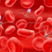 Tumorzellen gelangen über Lymphknoten ins Blutsystem