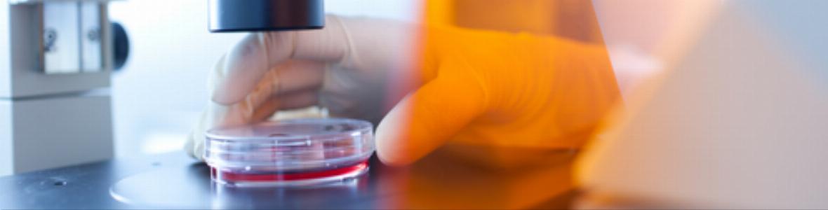Neuer Angriffsmechanismus auf Grippeviren entdeckt