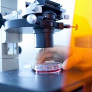 Neuer Angriffsmechanismus auf Grippeviren entdeckt