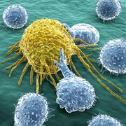 Cancer School CCC Vienna: besser informiert, besserer Therapieerfolg