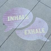 Lungenleiden - Speziell Asthma & COPD - steigen stark an