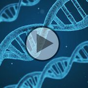 Die Rolle der Gene bei Brust- und Eierstockkrebs - Video