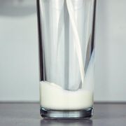 Mit natürlichem Milchprotein gegen Krebs und Infektionen