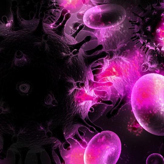 Hiv Infektion Herzmuskelzellen Sterben Bereits In Der Akutphase
