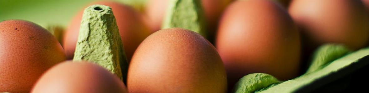 Eier sind gesünder als bislang angenommen